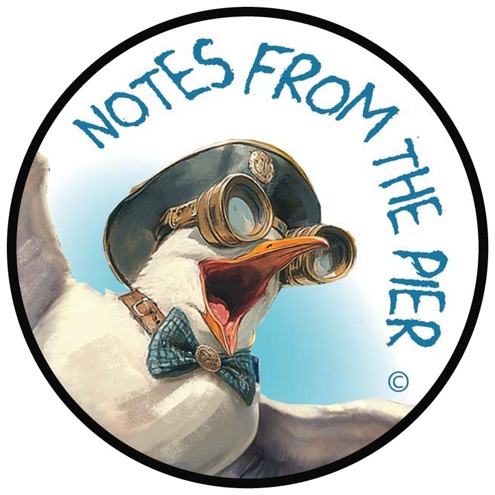 Stickers: Captain Gull!